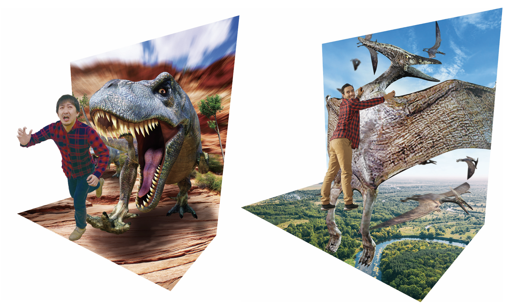 51700円 最大69％オフ！ トリックアート 恐竜 プレシオサウルス 3Dアート 送料無料 簡単 イベント用 フォトスポット 組立簡単 子供向け イベント パネル フォトパネル だまし絵